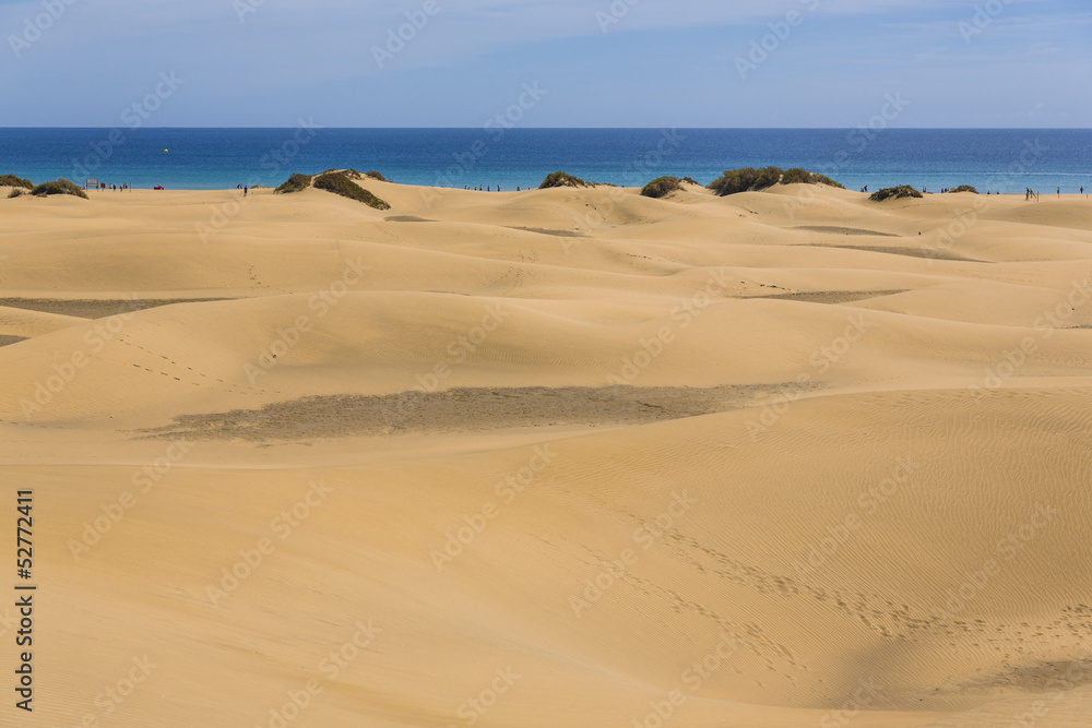Maspalomas Duna - Desert in Canary island Gran Canaria