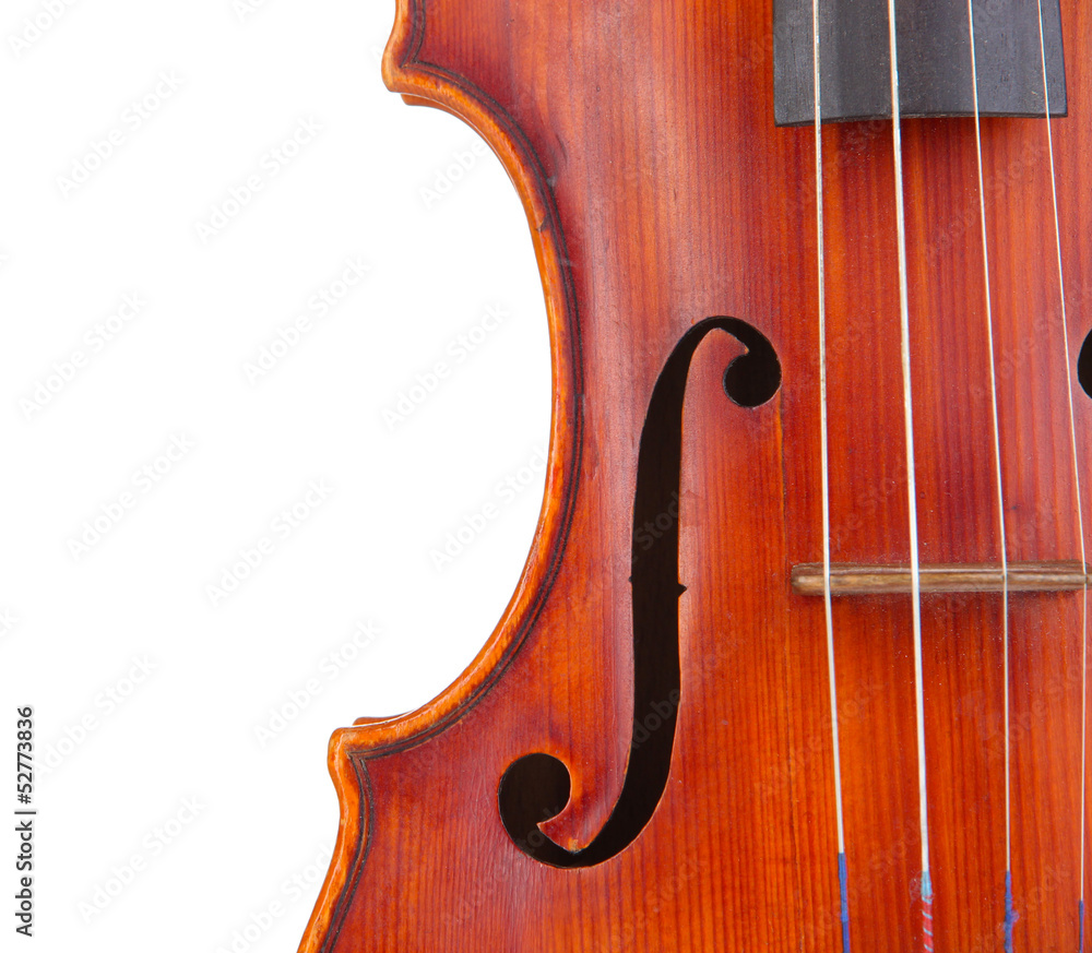 Classical violin isolated on white Classical violin isolated on white
