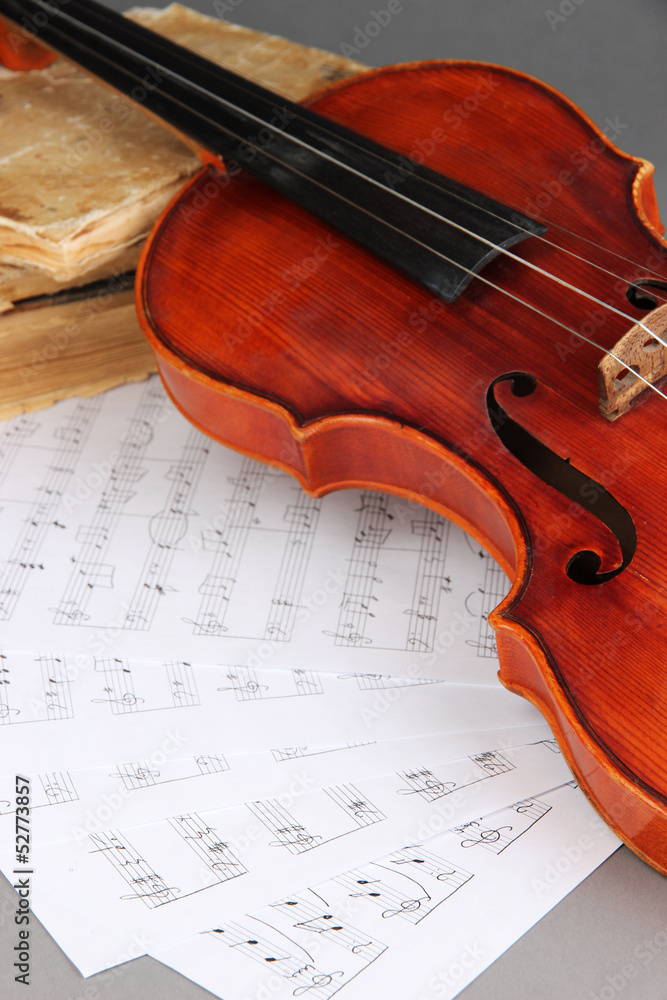 Naklejka premium Classical violin on notes