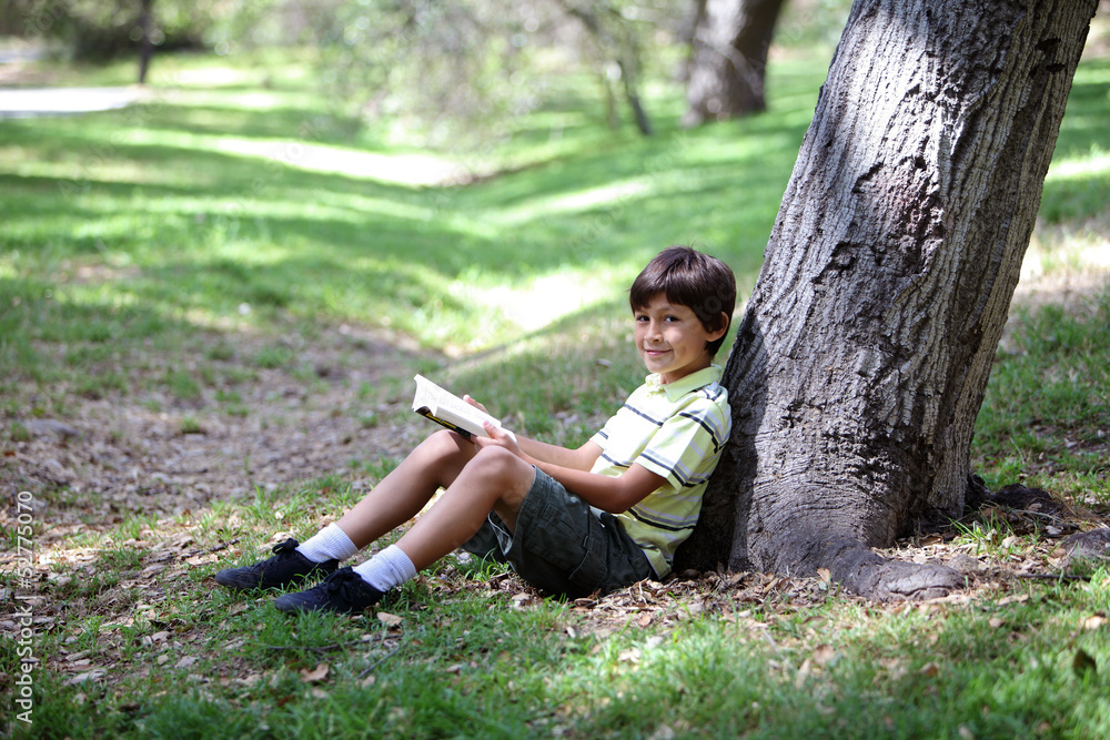 Young boy reading a book in the woods Young boy reading a book in the woods