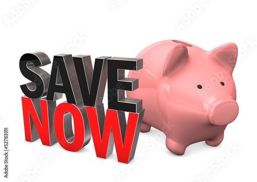 Piggy Bank Save Now photo