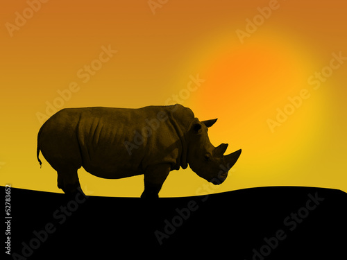 rhino and sunset