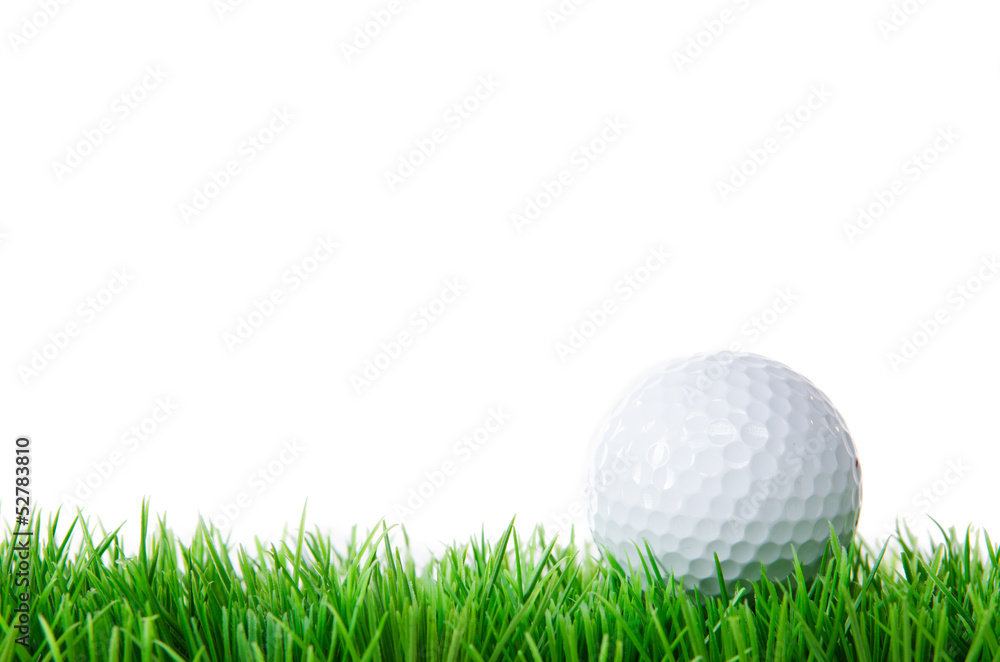Fototapeta piłka golfowa na łące
