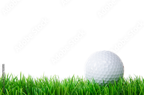 golfball in wiese