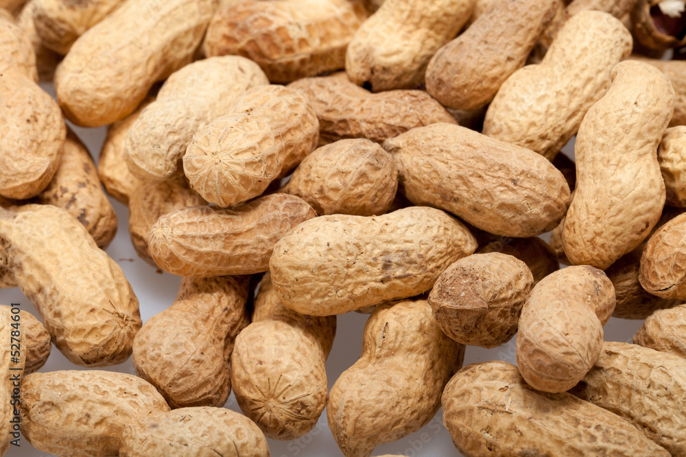 .Dried peanuts in closeup on the white background .Dried peanuts in closeup on the white background