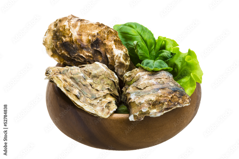 Fresh oyster Fresh oyster