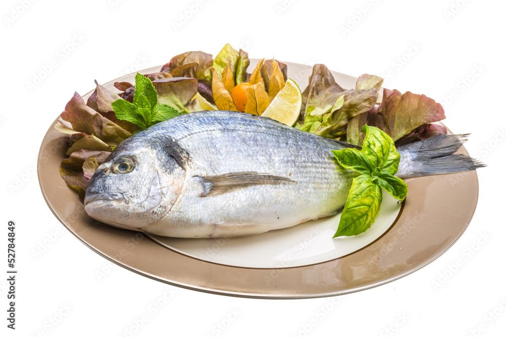 Fresh raw dorada Fresh raw dorada