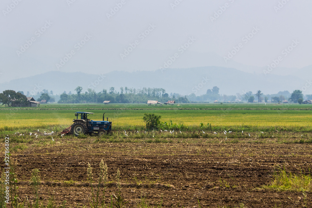 Fototapeta premium Agriculture plowing tractor on wheat cereal fields