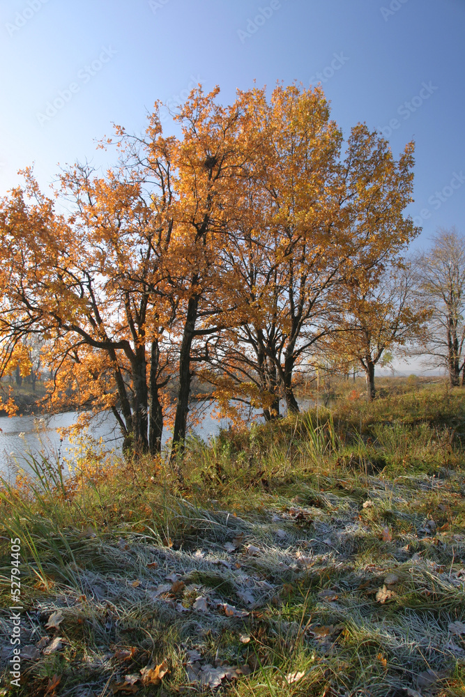 Autumn walk along the river Autumn walk along the river