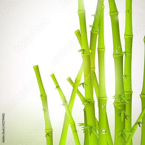 Fototapeta Naklejka Na Ścianę i Meble -  Bamboo modern background