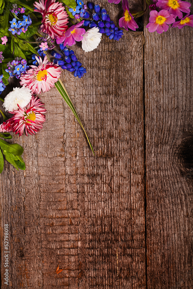 Fototapeta premium flower background