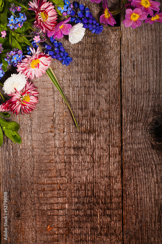 Fototapeta Naklejka Na Ścianę i Meble -  flower background