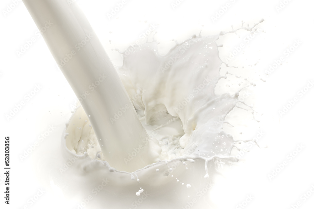 milk splash milk splash