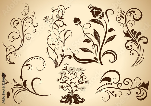 Floral vintage vector design elements isolated