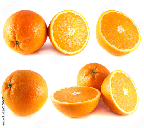 Oranges collection isolated on white background.