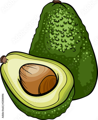 avocado fruit cartoon illustration