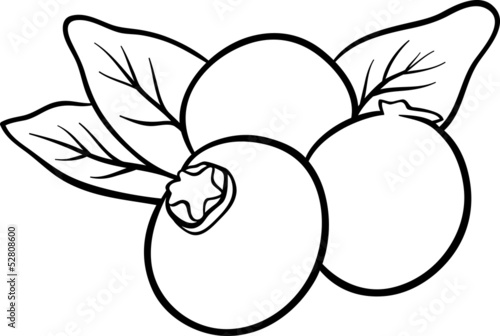 blueberry fruits for coloring book