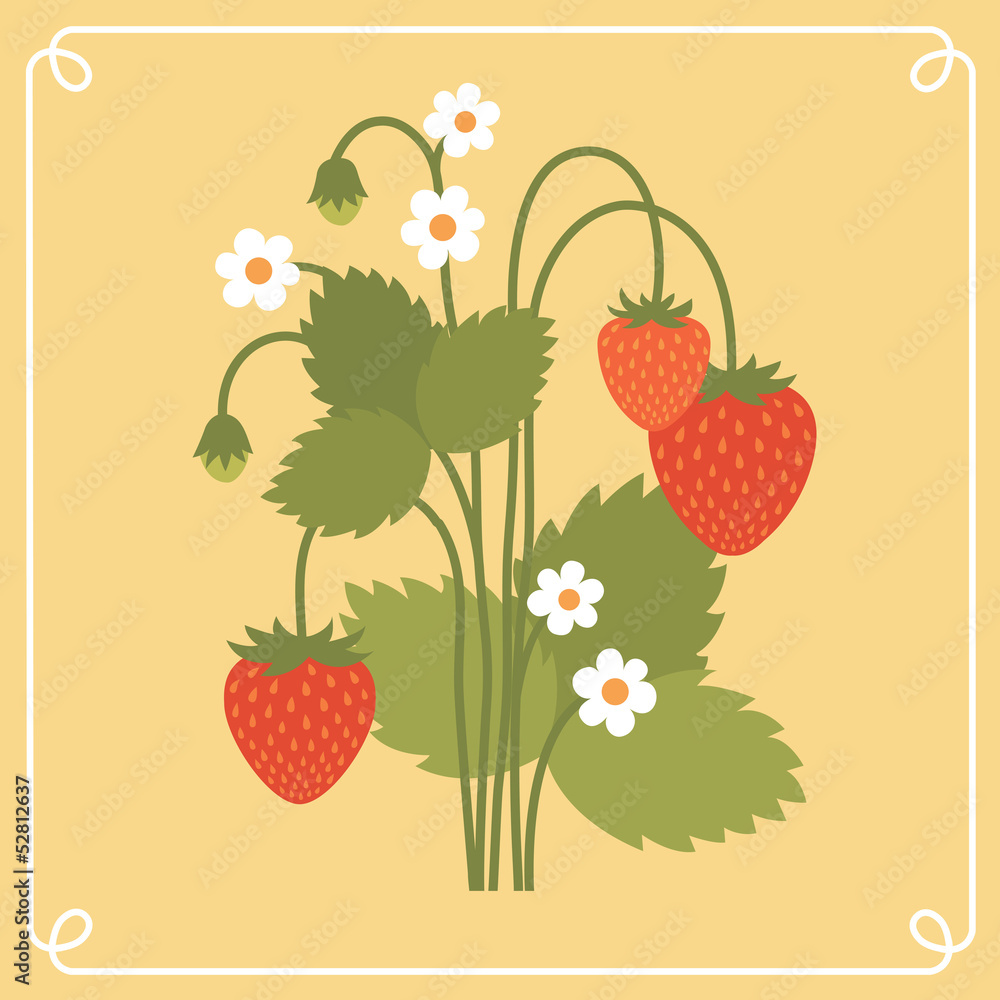 Obraz premium Strawberry bush