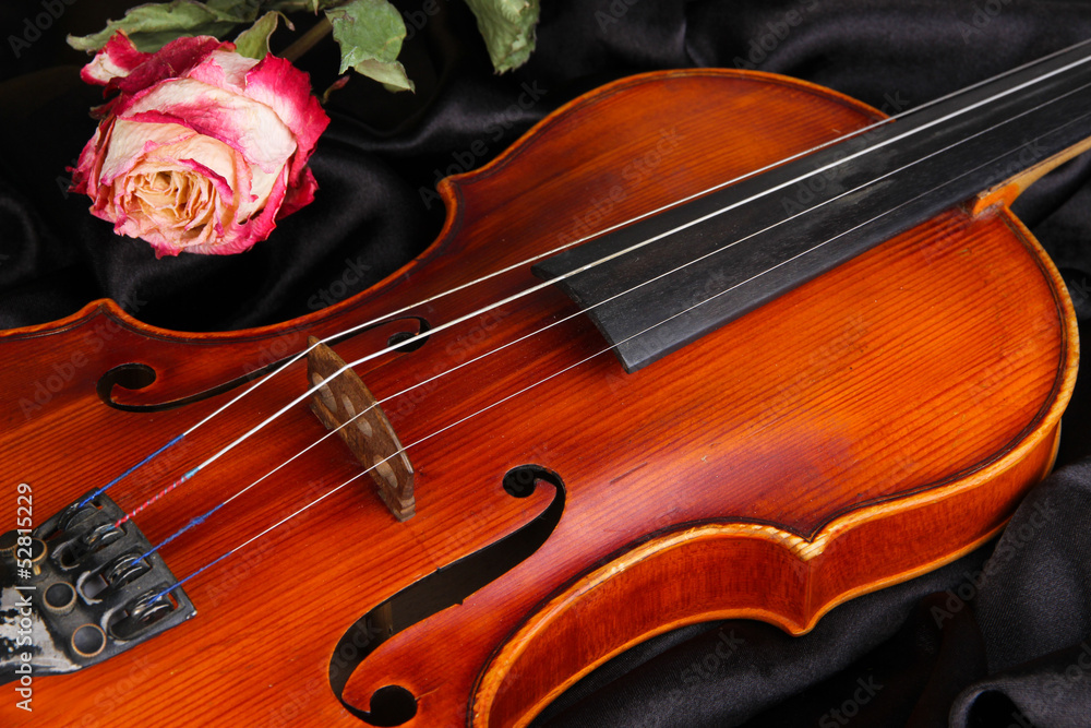 Fototapeta premium Classical violin on fabric background