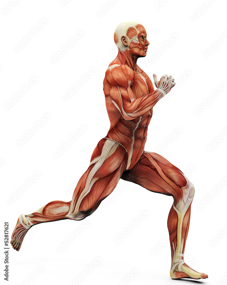 muscle man running muscle man running