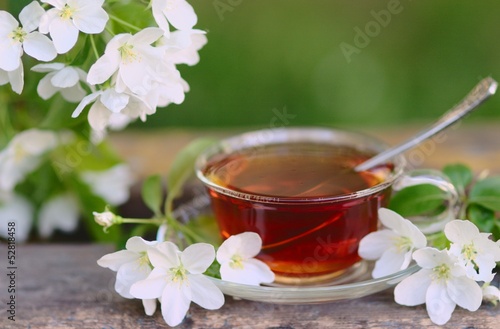 Herbal Cup of tea with apple-tree flower