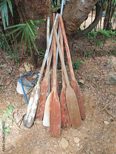 Wooden of oars