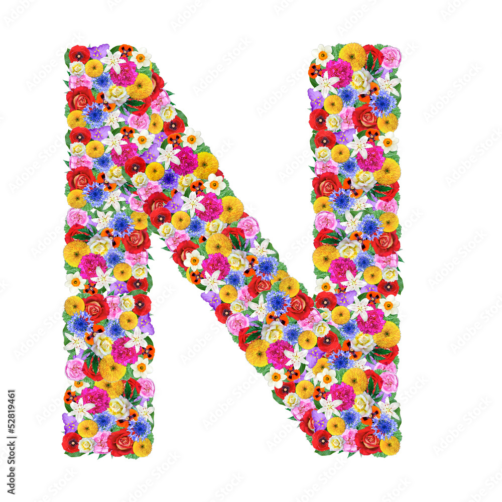 N, letter of the alphabet in different flowers N, letter of the alphabet in different flowers
