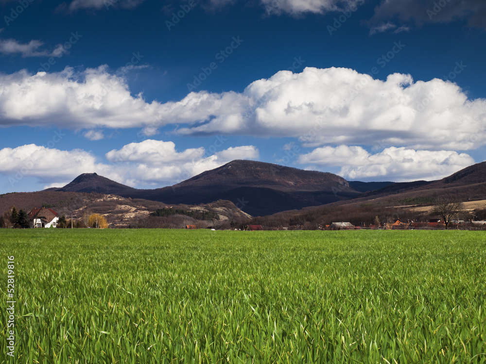 green field and blue sky