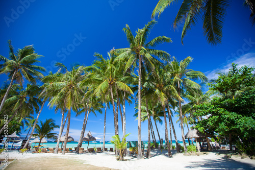 tropical sunny beach in beautiful exotic resort