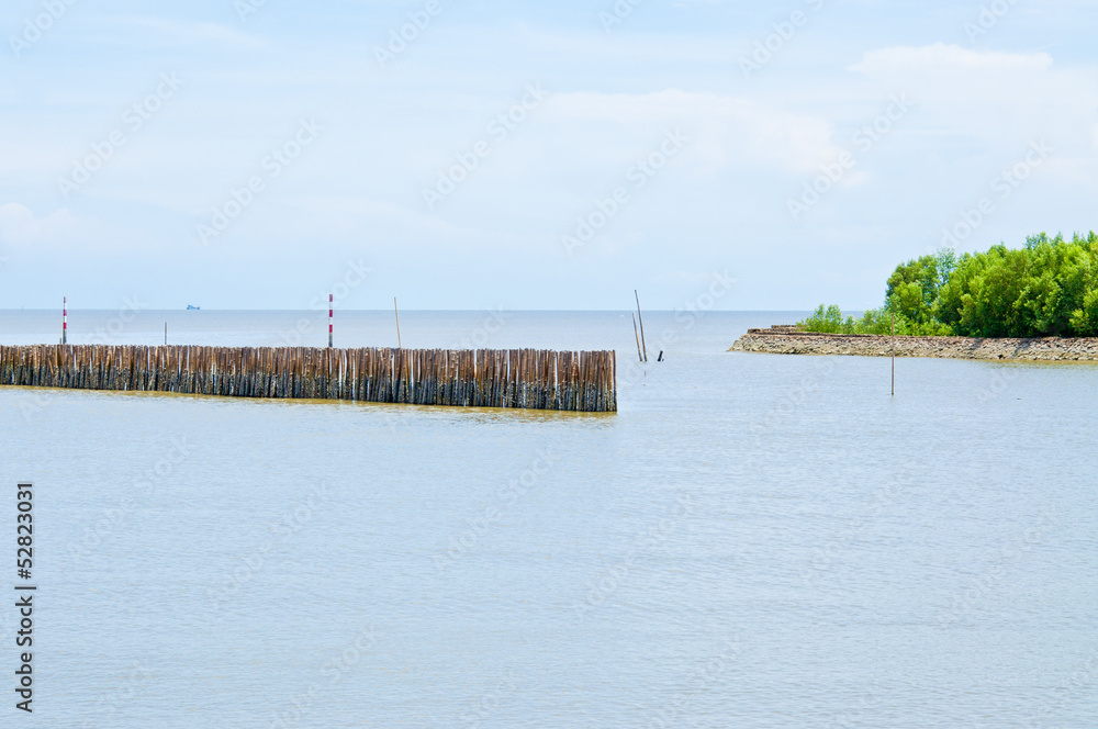 Fototapeta premium Wave barrier in mangrove forest