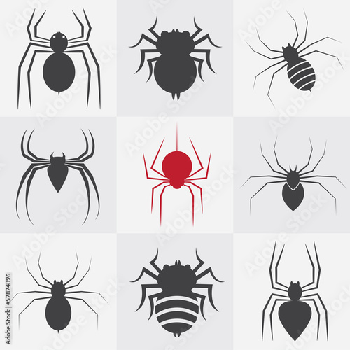 Set of vector spider icons
