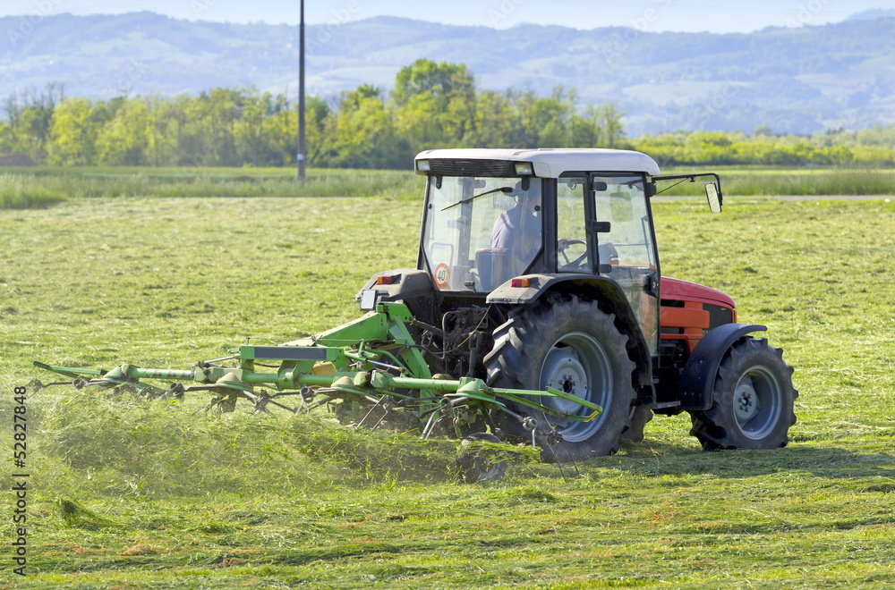 Obraz premium Turning cut hay