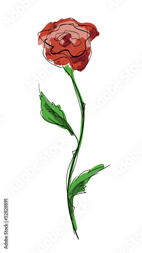 sketch roses