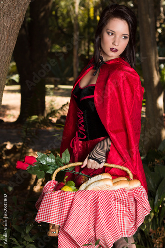 Red riding hood