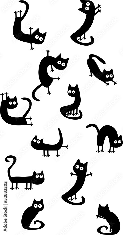 Funny black cats Funny black cats