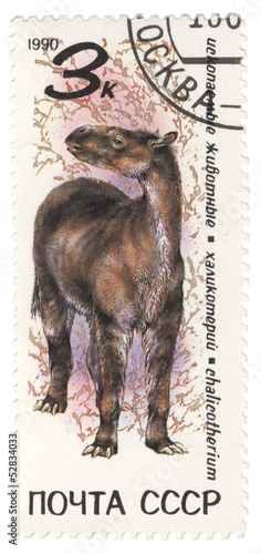 Dinosaur Chalicotherium on post stamp photo