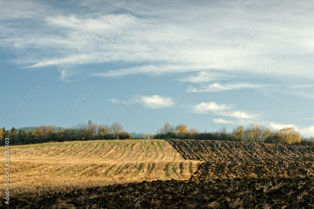 Autumn half-plowed field