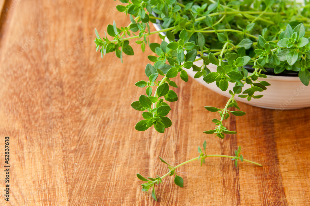Thyme herb on wooden cutting board. Thyme herb on wooden cutting board.