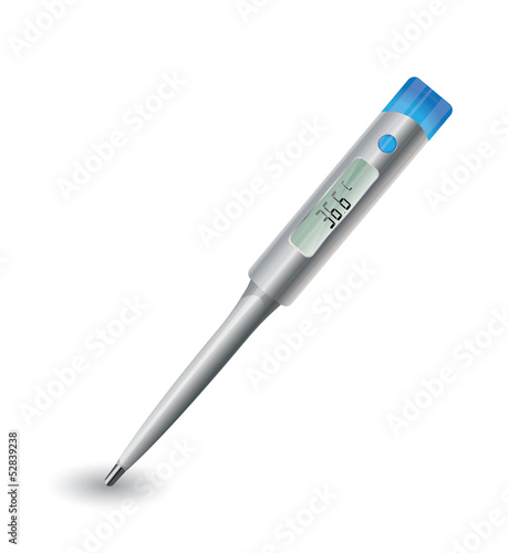 Electronic thermometer