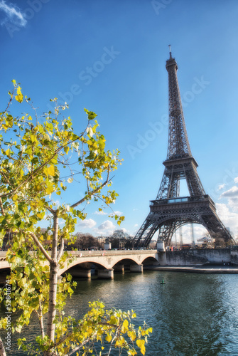 Beautiful view of Eiffel Tower with vegetation © jovannig