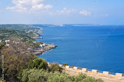 Fototapeta Naklejka Na Ścianę i Meble -  Panoramic view of Tiggiano. Puglia. Italy.