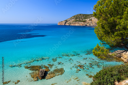 Beach pine trees sea bay mountains  Camp de Mar  Majorca