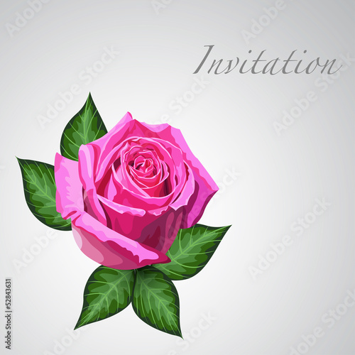 Gift card with pink rose flower. Eps10 floral illustration