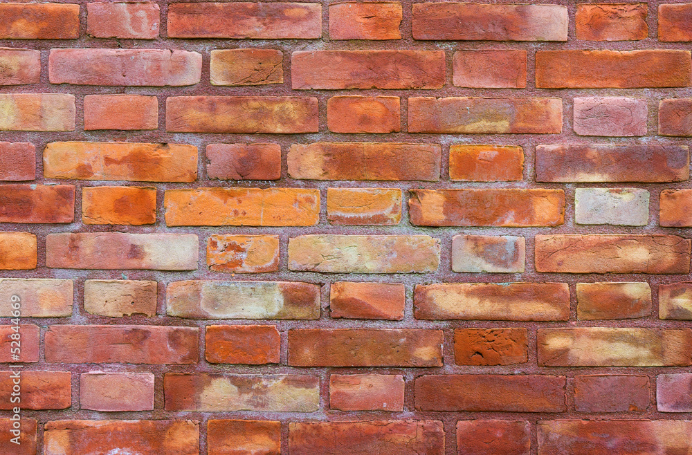 Obraz premium Background of brick wall texture