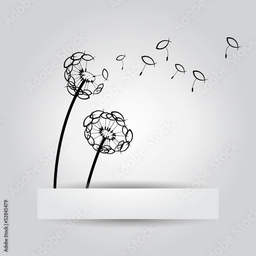 Ichthys Pusteblume
