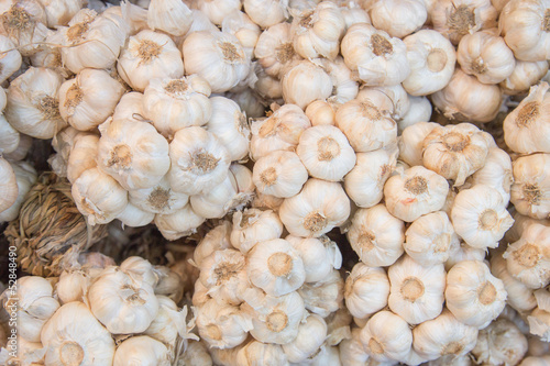 Pattern of garlic