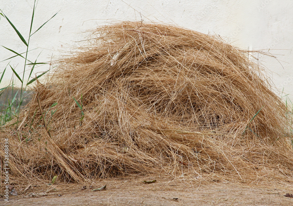 Fototapeta premium Hay pile