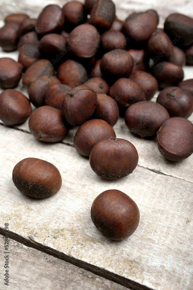 Obraz premium chestnut
