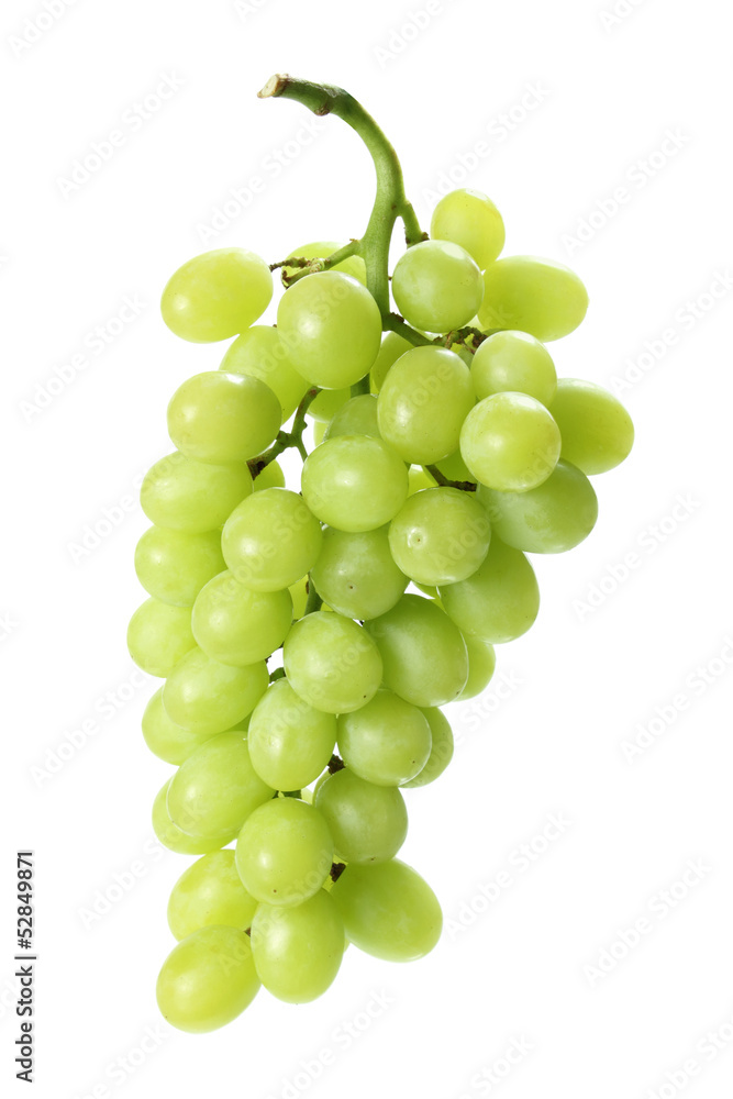 Bunch of Grapes