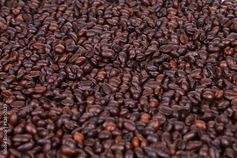 Obraz premium coffee